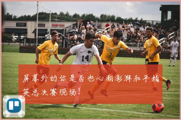 屏幕外的你是否也心潮澎湃和平精英总决赛现场!
