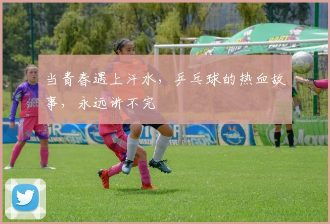 当青春遇上汗水,乒乓球的热血故事,永远讲不完
