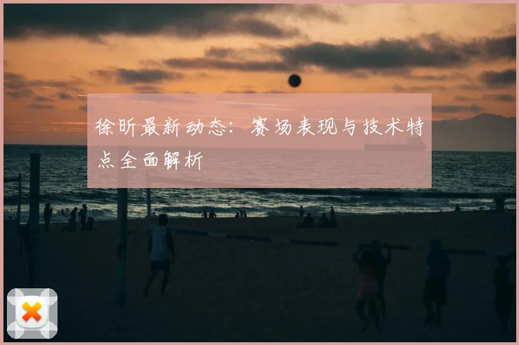 徐昕最新动态：赛场表现与技术特点全面解析