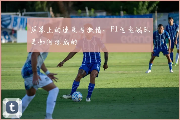 屏幕上的速度与激情,F1电竞战队是如何炼成的