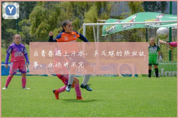 当青春遇上汗水,乒乓球的热血故事,永远讲不完
