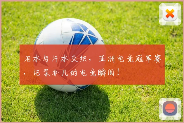泪水与汗水交织,亚洲电竞冠军赛,记录非凡的电竞瞬间!