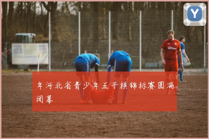 年河北省青少年五子棋锦标赛圆满闭幕