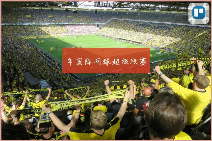 年国际网球超级联赛
