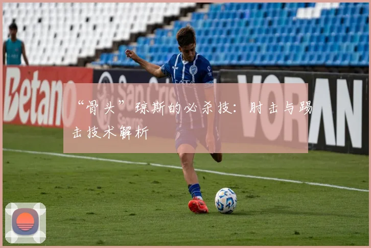 “骨头”琼斯的必杀技：肘击与踢击技术解析