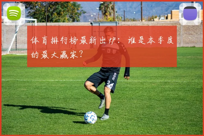 体育排行榜最新出炉:谁是本季度的最大赢家?